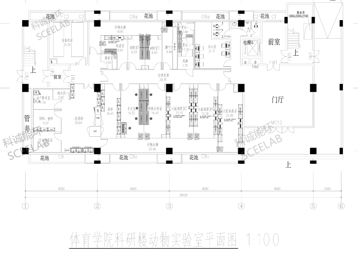 動物房實驗室平面圖